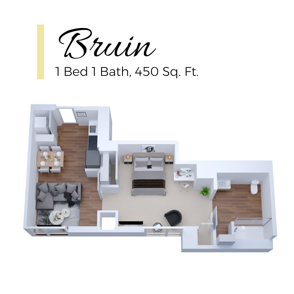 CWV Bruin